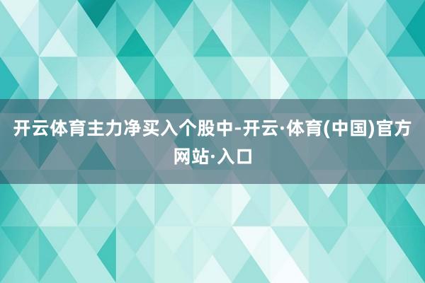 开云体育 主力净买入个股中-开云·体育(中国)官方网站·入口