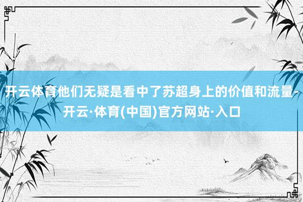 开云体育他们无疑是看中了苏超身上的价值和流量-开云·体育(中国)官方网站·入口