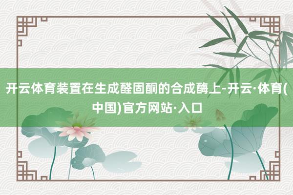 开云体育装置在生成醛固酮的合成酶上-开云·体育(中国)官方网站·入口